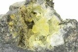 Glassy Yellow Anglesite Crystals on Galena - Morocco #251509-1